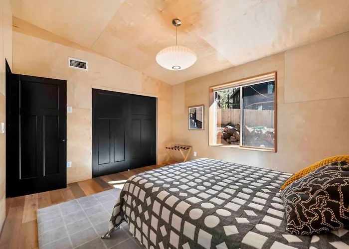 Modern Flagstaff Wood Forest Views